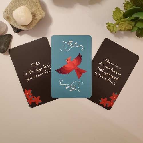 Cardinals Appear Cards